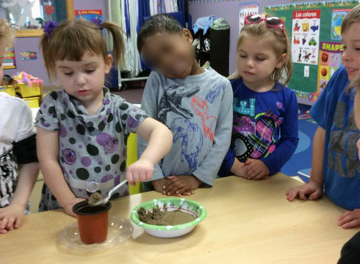 Pre-schoolers helping plant seeds